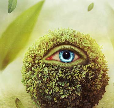 攻击网站服务器