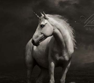 DDOS压力测试网页端